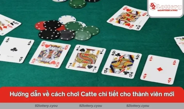 Hướng dẫn về cách chơi Catte chi tiết cho thành viên mới